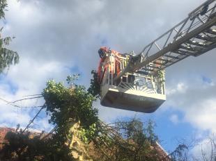 Storm: Wat doen? Hoe stormschade melden?