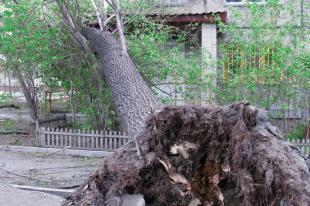 Hulp bij stormweer en stormschade