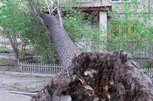 Hulp bij stormweer en stormschade