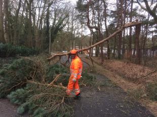 Storm & rukwinden: stormschade melden
