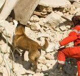 usar_haiti_3_0