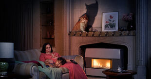 Opgepast voor 'stille doder' CO-vergiftiging